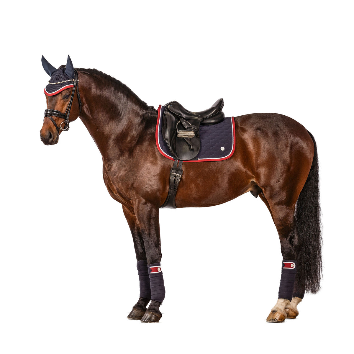 Champion Dressage Saddle Pad – Lara Tweedie Equestrian