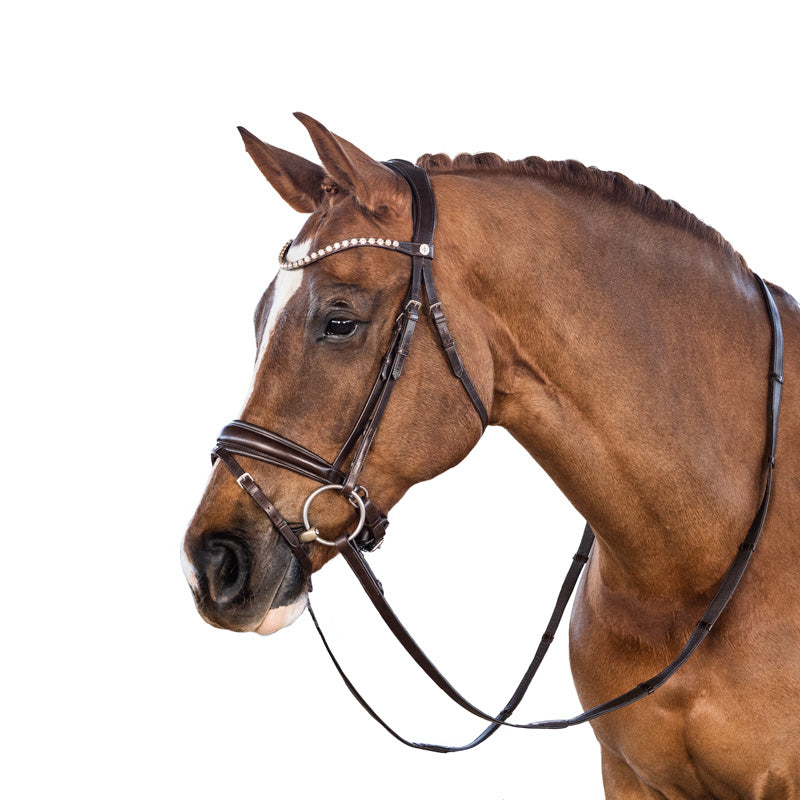 Snaffle bridle deals