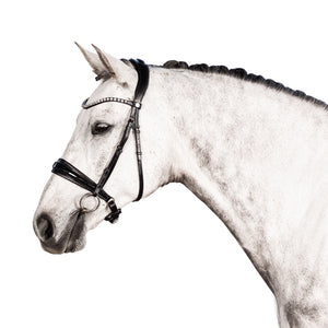 LT Essential Snaffle Bridle - Cavesson Patent Noseband