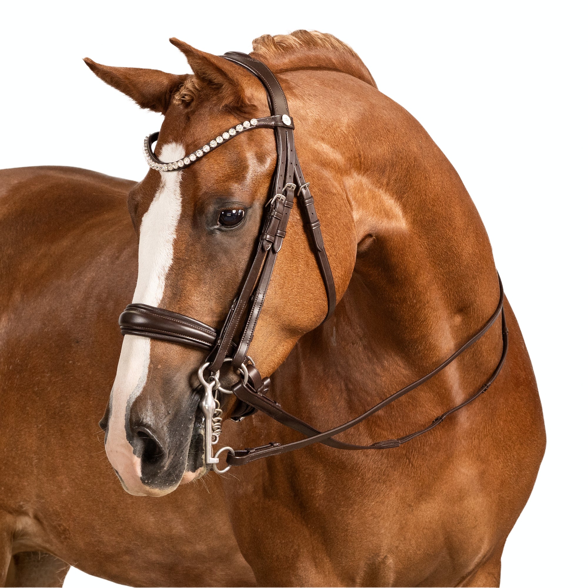 LT Essential Pony Double Bridle Brown